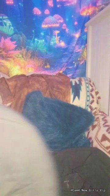 curvycanadian cam profile