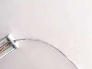 virgovixengal cam profile