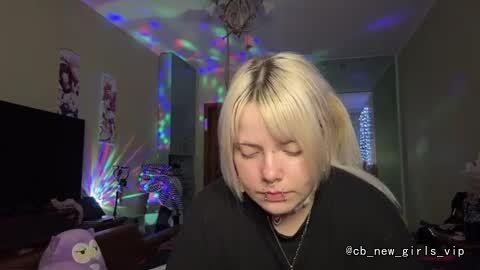 ebonidorset live