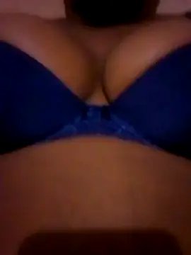 05perish cam profile