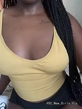 Brownie_winks cam profile