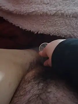 curvy_bat cam profile