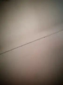 Cut_salni cam profile