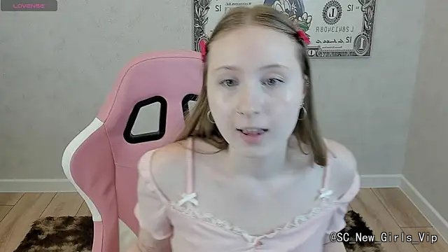 LiliTiny cam profile