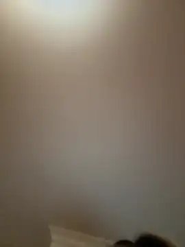 Loresofia cam profile
