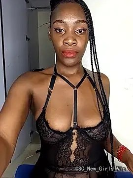 phatassmatic cam profile
