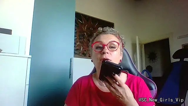 Zanetta cam profile